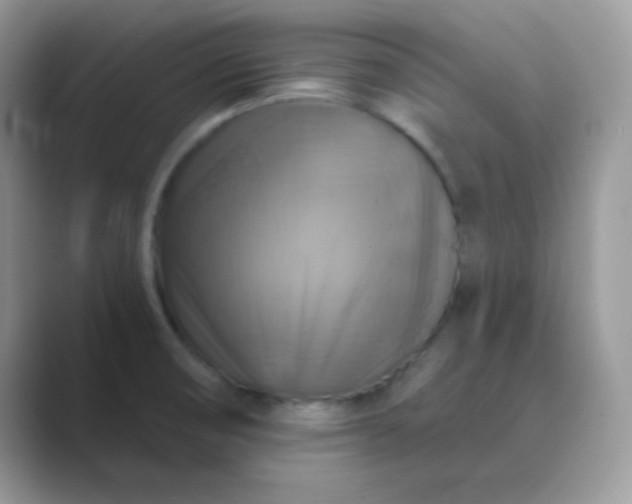 X0000089721474200707051711