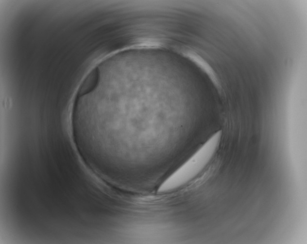 X0000089721475200707051711