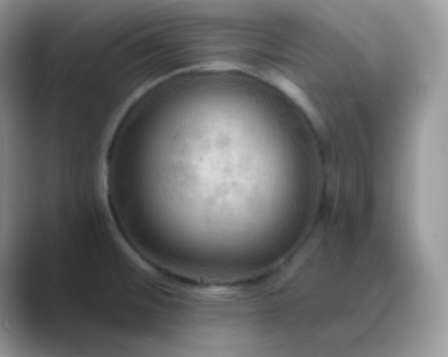 X0000089721476200707051711