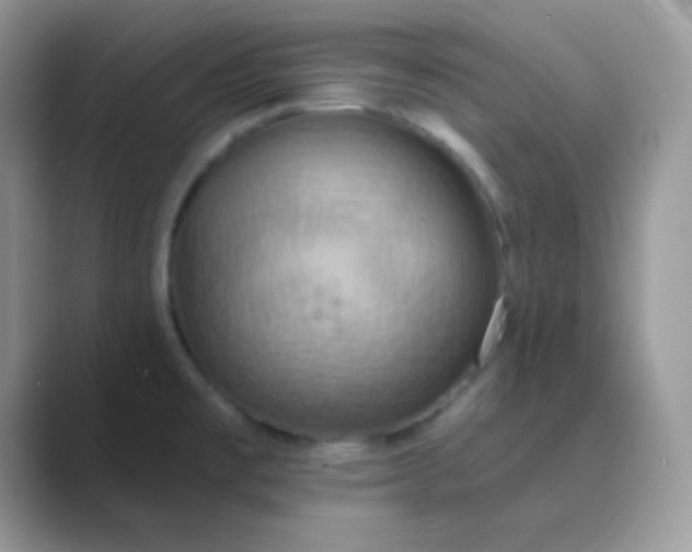 X0000089721477200707051711