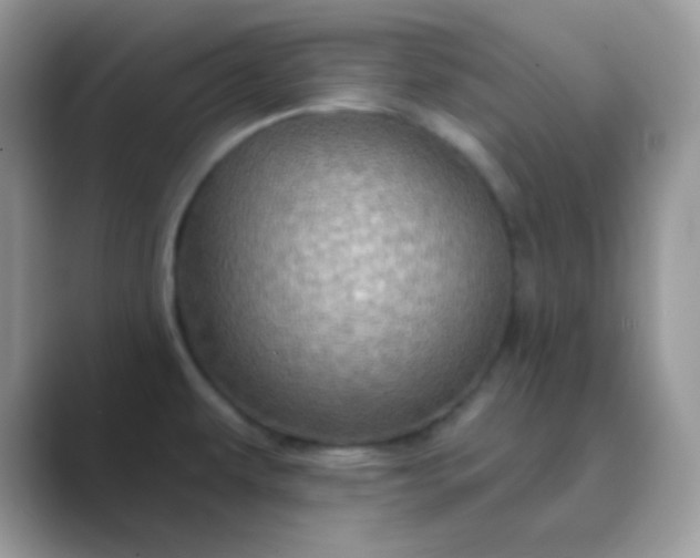 X0000089721479200707051711