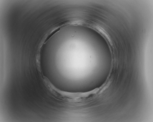 X0000089721481200707051711