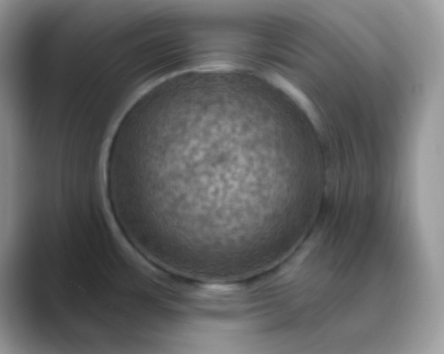 X0000089721483200707051711