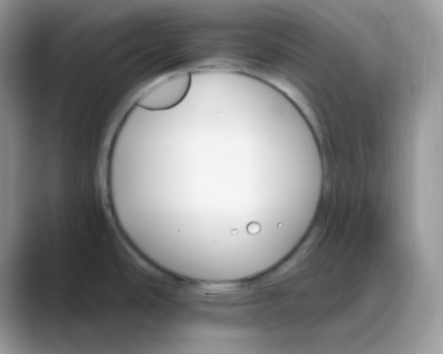 X0000089721486200707051710