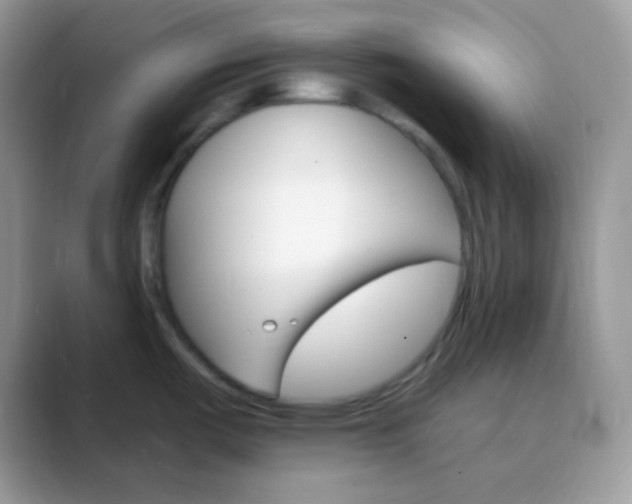 X0000089721487200707051710