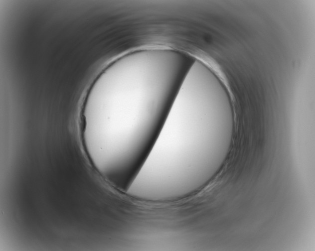 X0000089721488200707051710