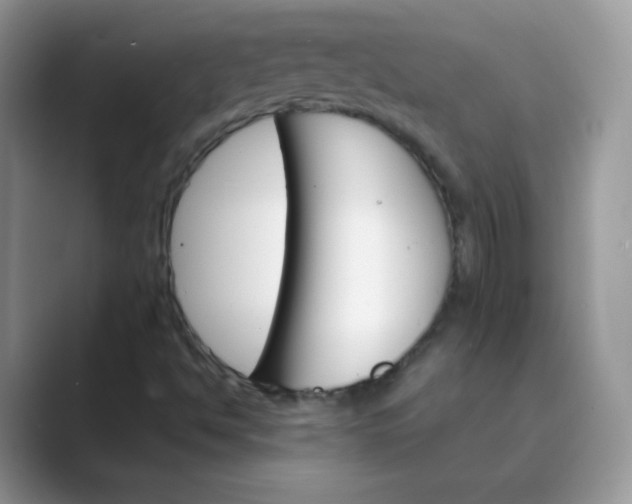 X0000089721494200707051710