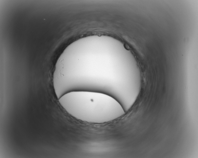X0000089721495200707051710