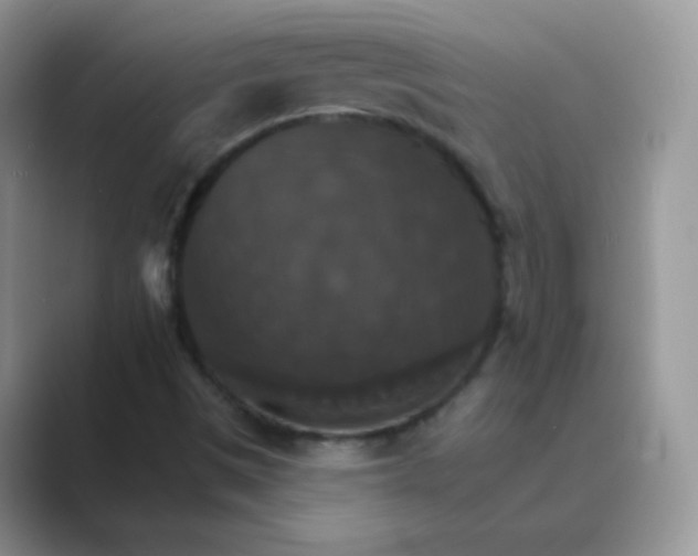 X0000089721497200707051710