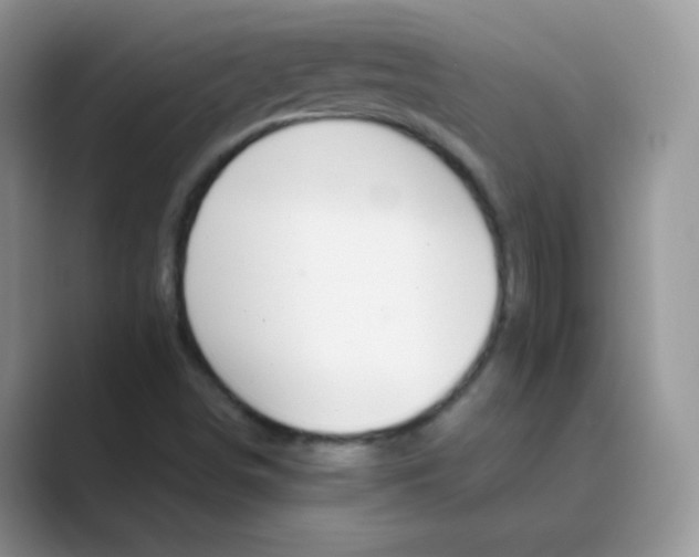 X0000089721498200707051710