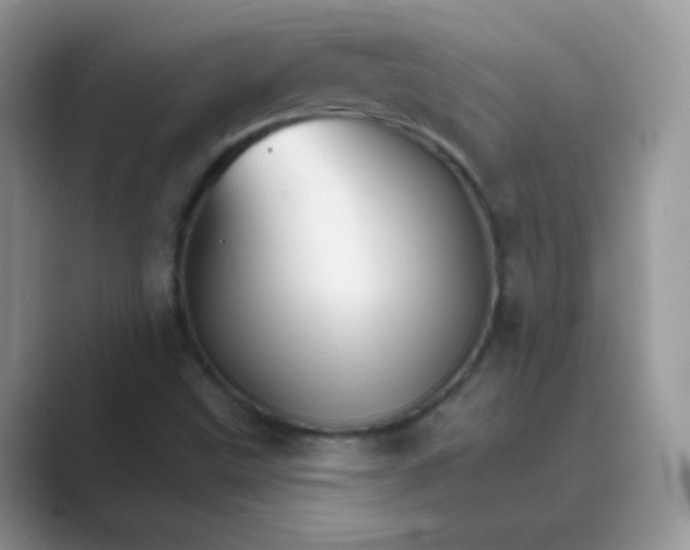 X0000089721499200707051710