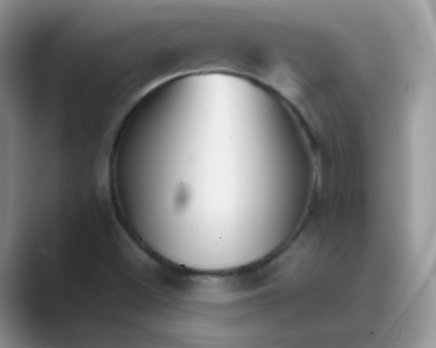 X0000089721500200707051710