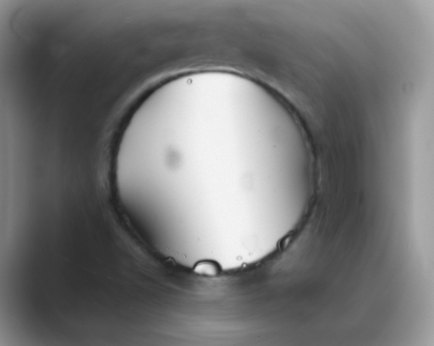 X0000089721502200707051710