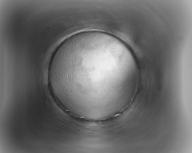X0000089721504200707051710