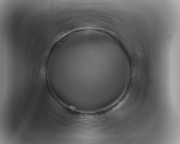 X0000089721505200707051710