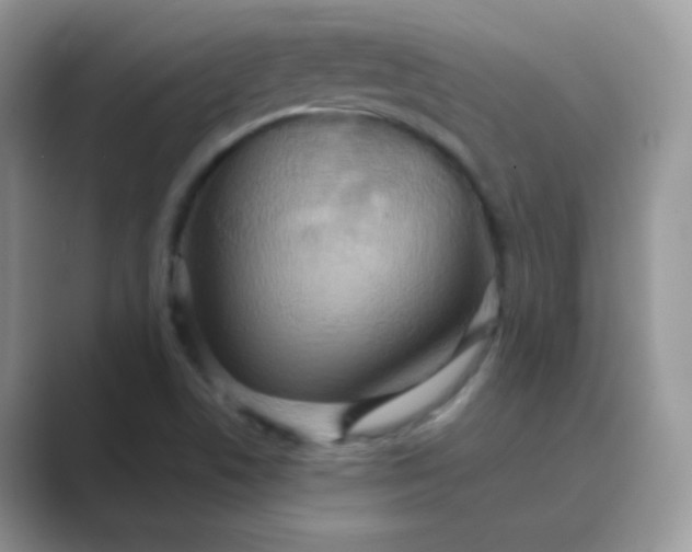 X0000089721506200707051710
