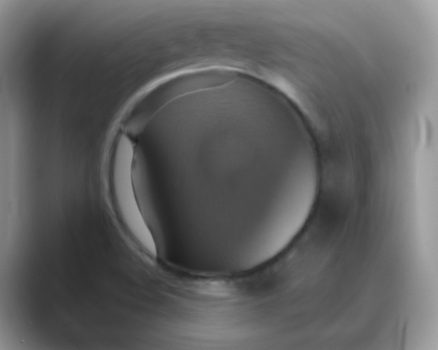 X0000089721508200707051710