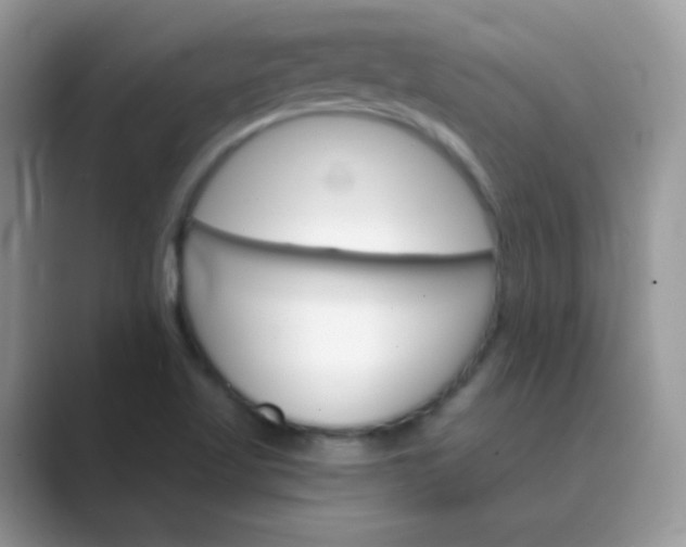 X0000089721509200707051710