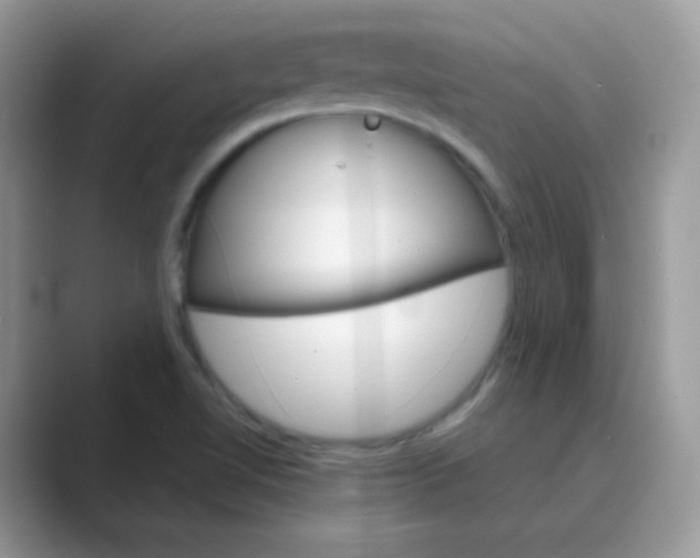 X0000089721510200707051710