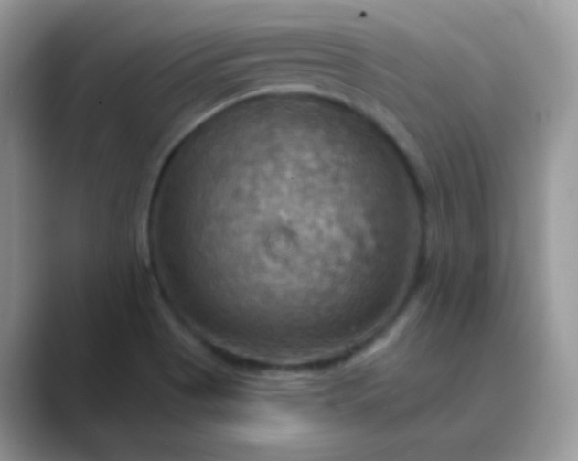 X0000089721513200707051710