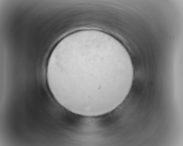 X0000089721514200707051710