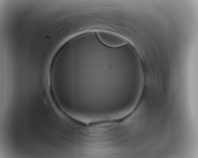 X0000089721515200707051710