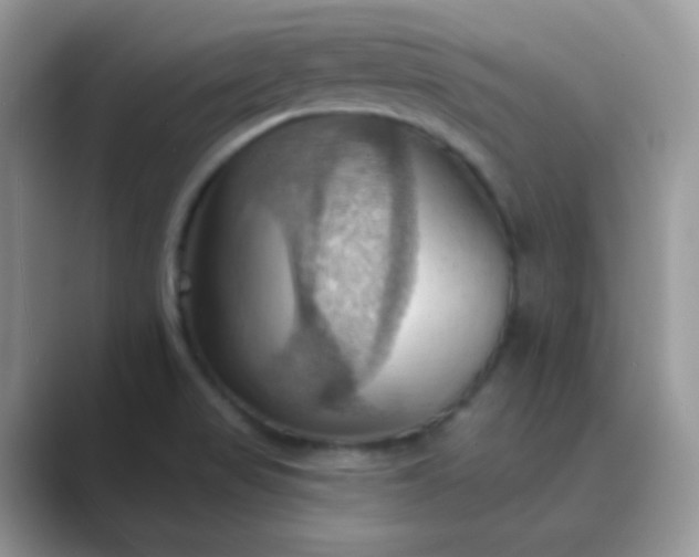 X0000089721517200707051710