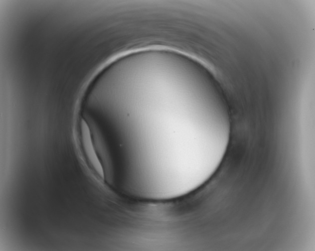 X0000089721518200707051710