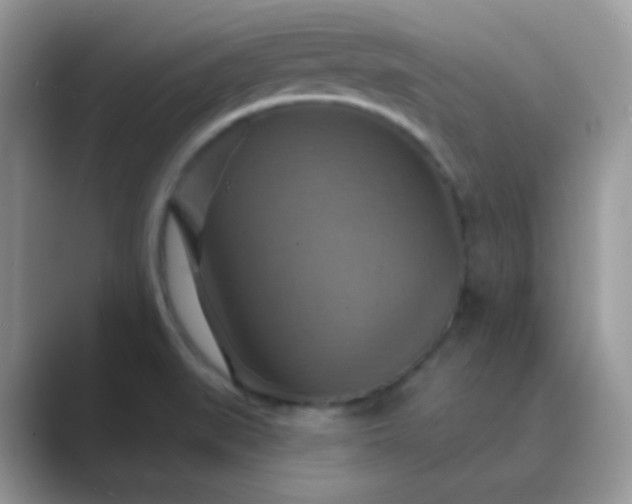 X0000089721519200707051710