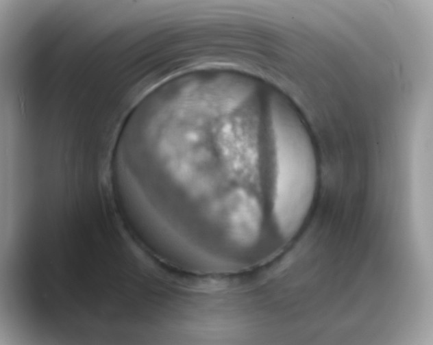 X0000089721521200707051710