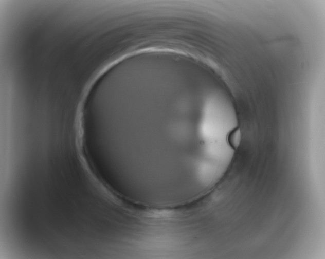 X0000089721522200707051710