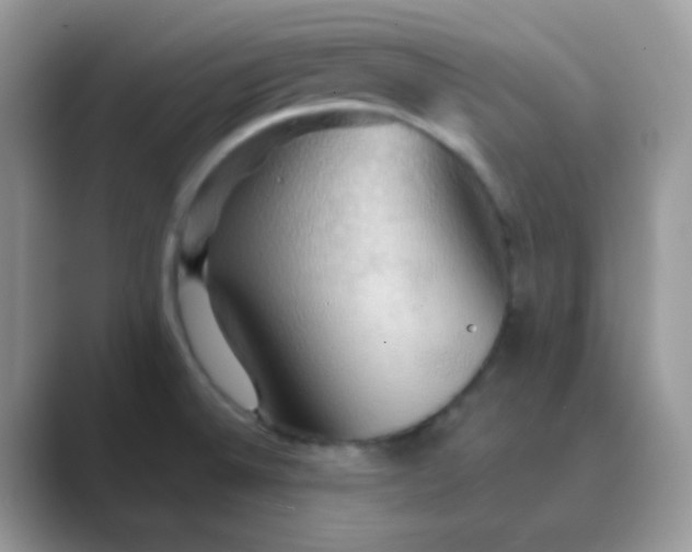 X0000089721524200707051710