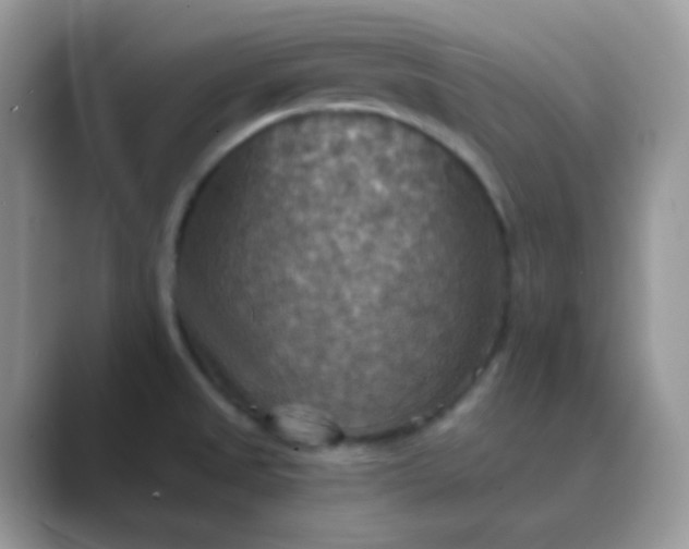 X0000089721525200707051710