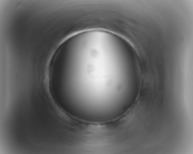 X0000089721526200707051710