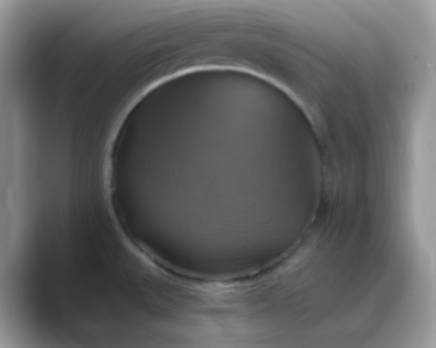 X0000089721527200707051710