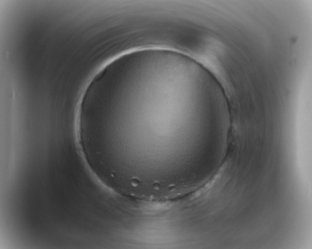 X0000089721528200707051710