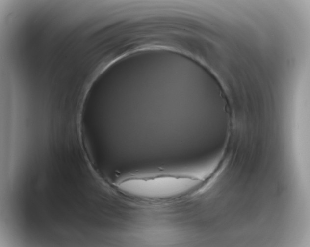 X0000089721529200707051710