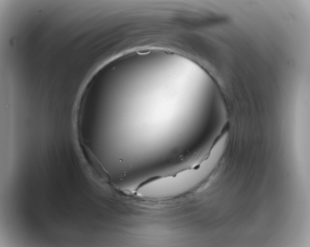 X0000089721530200707051710