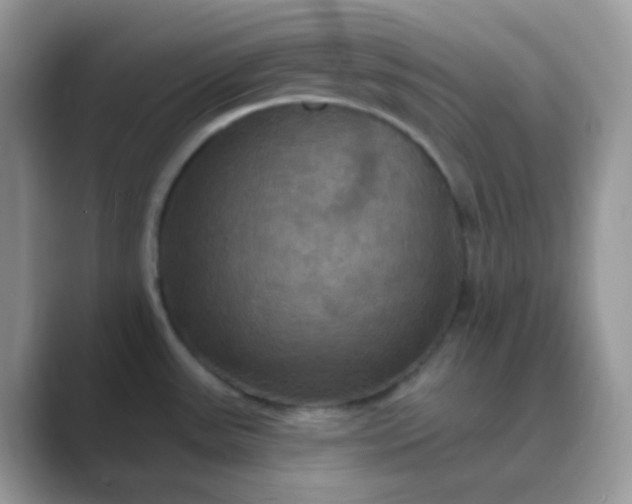 X0000089721531200707051710