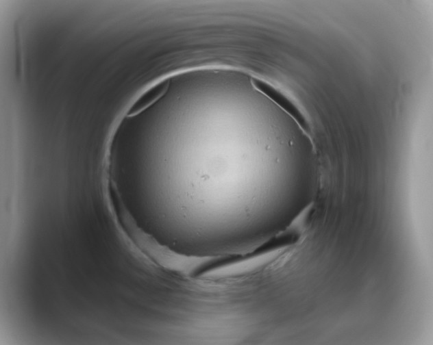 X0000089721532200707051710