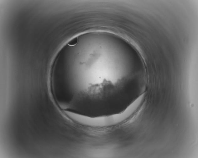 X0000089721533200707051710