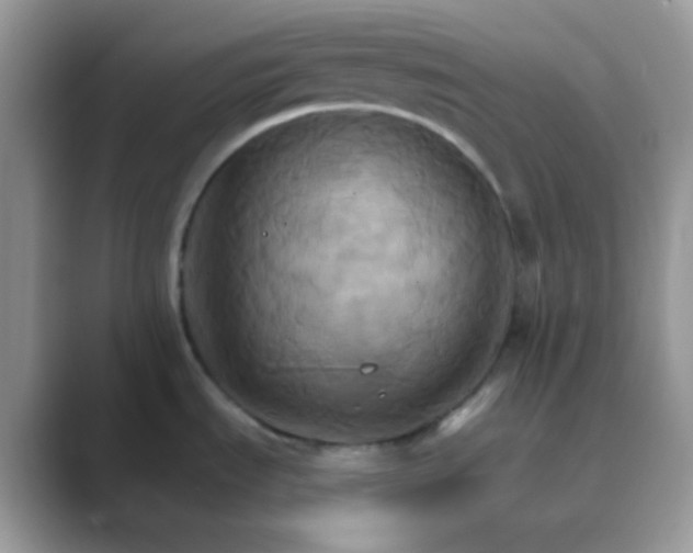 X0000089721535200707051710