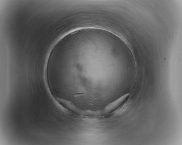 X0000089721536200707051710