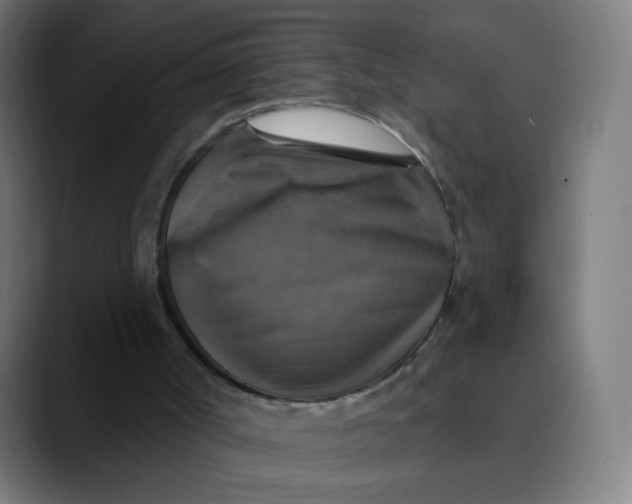 X0000089720002200707121439
