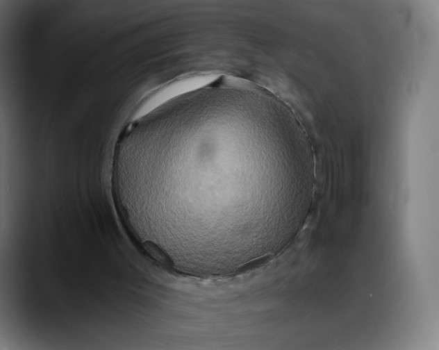 X0000089720003200707121439