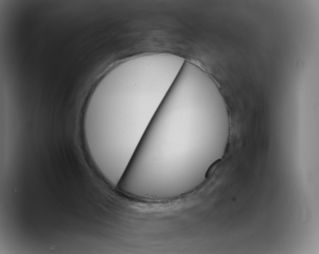 X0000089720005200707121439
