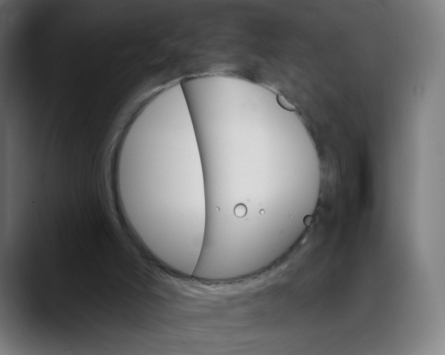 X0000089720006200707121439