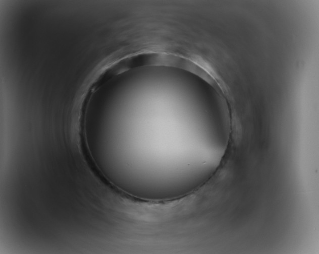 X0000089720007200707121439