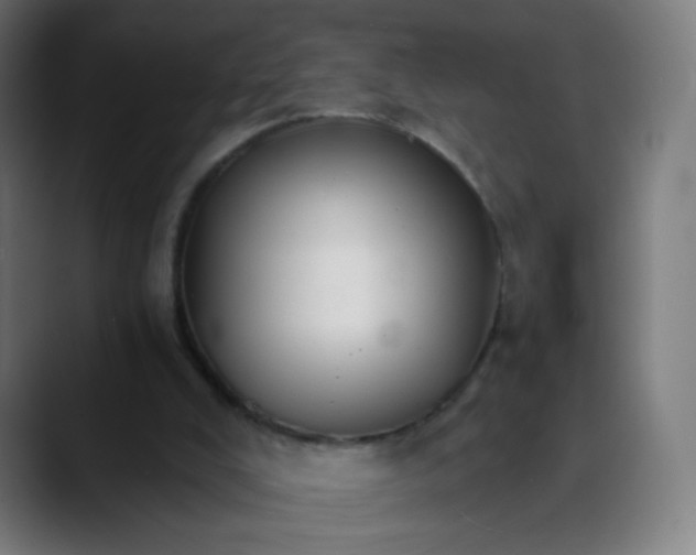 X0000089720008200707121439