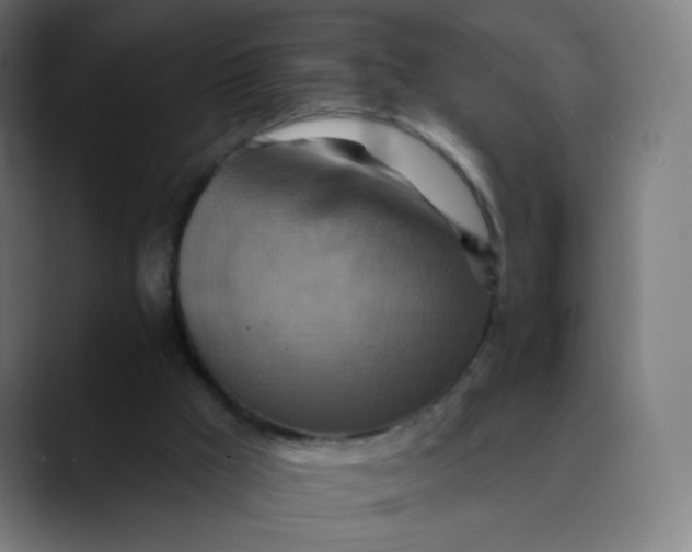 X0000089720009200707121439